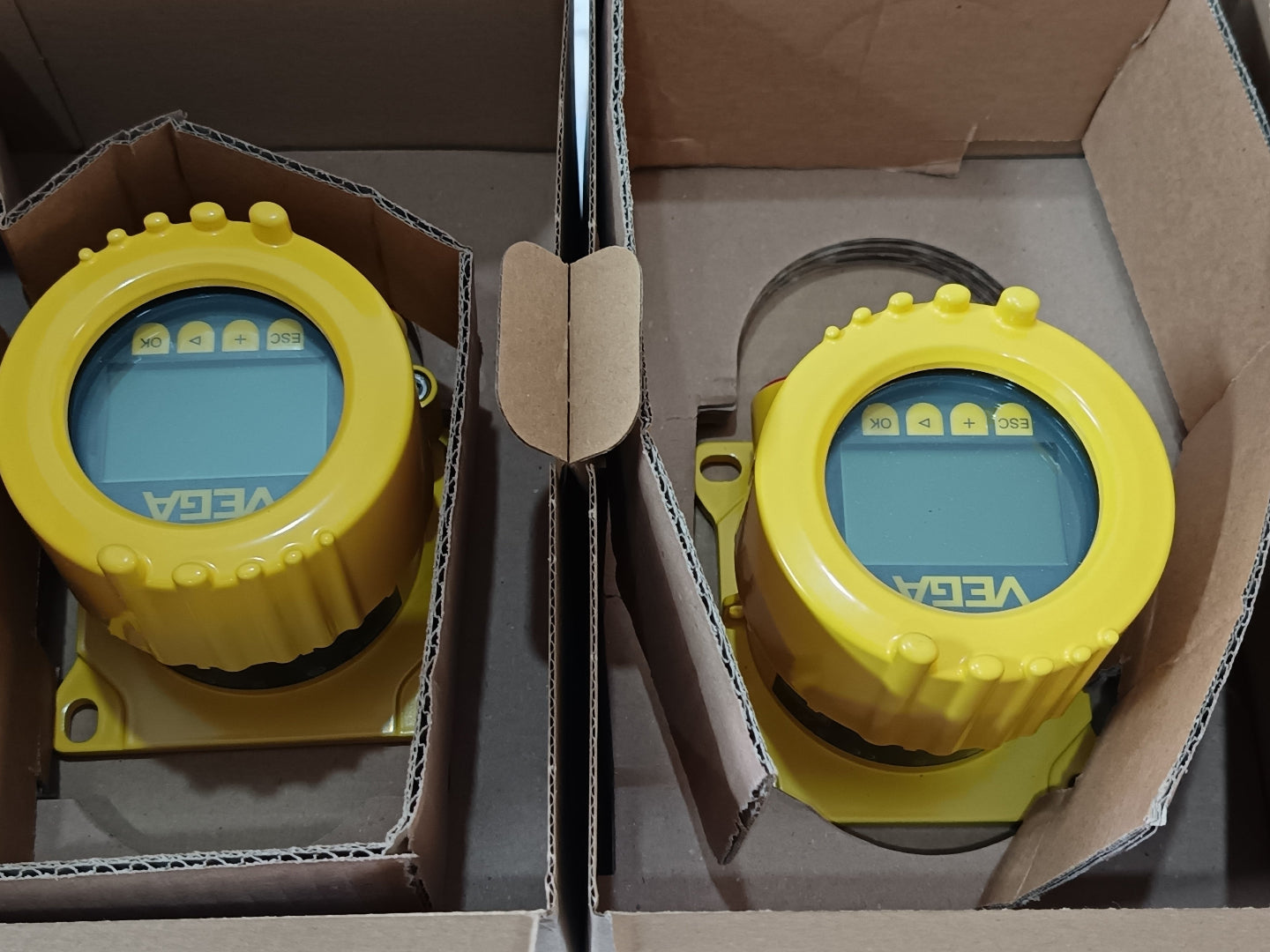 VEGA VEGADIS 82 External display and adjustment unit Indicating Instruments