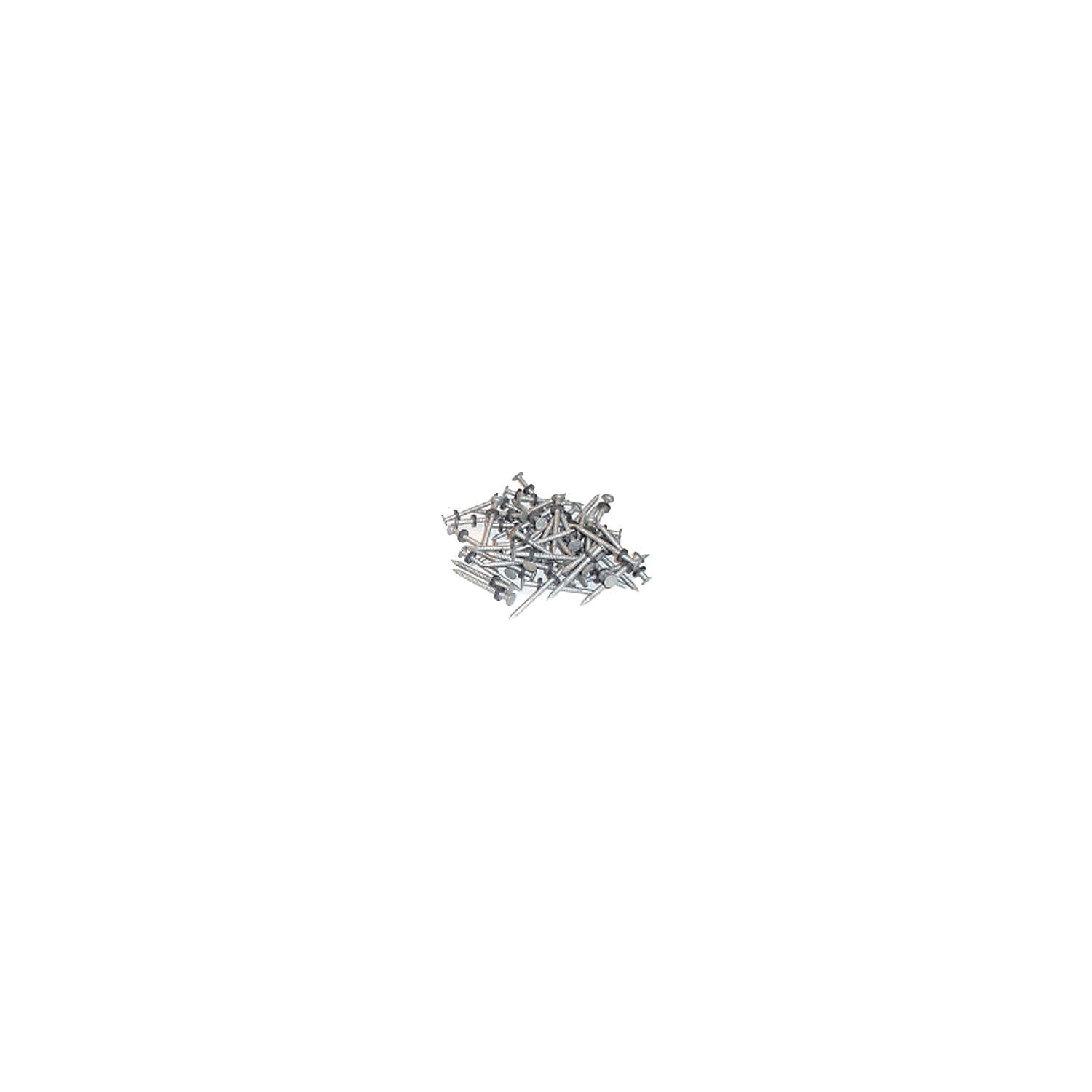 Taylor Made Products 96028 Taylor Galvanized #6 Nails w/Washers 1/8# 12/Cd