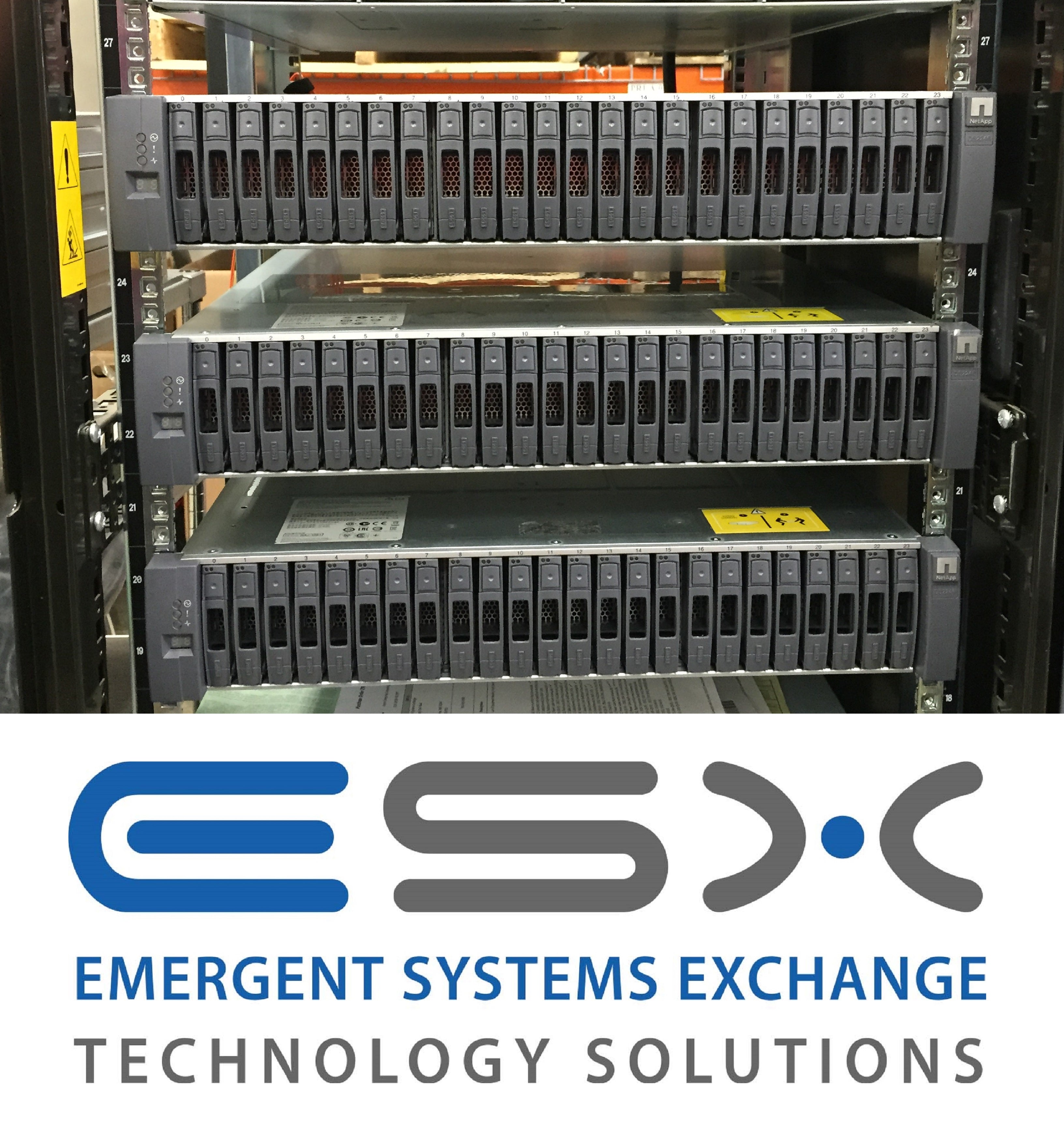 NetApp DS2246 with 12 x 200GB SSD, X446A-R6