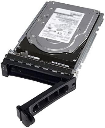 Dell 480 GB 2.5" Internal Solid State Drive - SAS|B076FJFZBZ