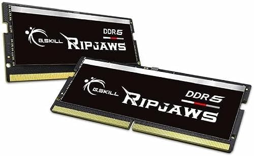 G.SKILL Ripjaws DDR5 SO-DIMM Series DDR5 RAM 16GB (1x16GB 4800MT/s CL34-34-34-76 1.10V Unbuffered Non-ECC Notebook/Laptop Memory SO-DIMM (F5-4800S3434A16GA1-RS