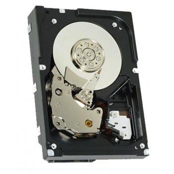 42D0779 | IBM 1TB 7200RPM SAS 6.0Gb/s NL 3.5-inch Hard Drive with Tray