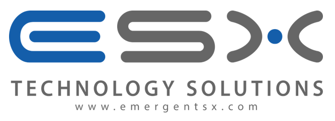 Dell P252M 300GB 10k 6Gb/s 2.5" SAS Hard Drive HUC103030CSS600 w/ 12G Tray