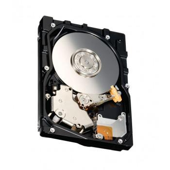 81Y9596 | IBM 600GB 10000RPM SAS 6.0Gb/s 2.5-inch Hard Drive with Tray
