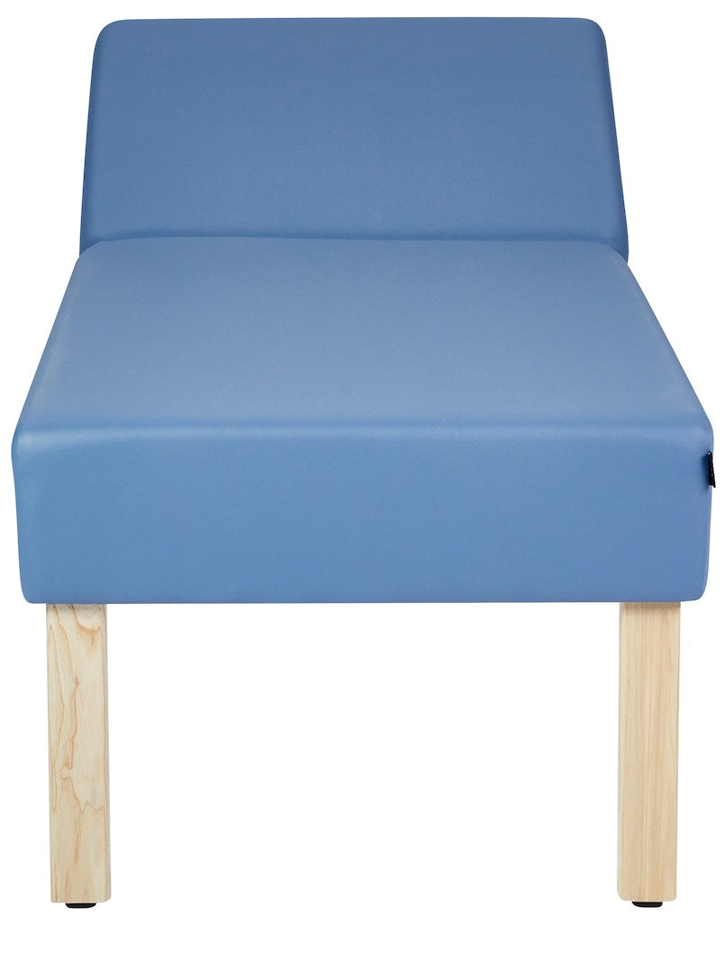 Lucas Recovery Couch w/ Adjustable Headrest & Antimicrobial Upholstery