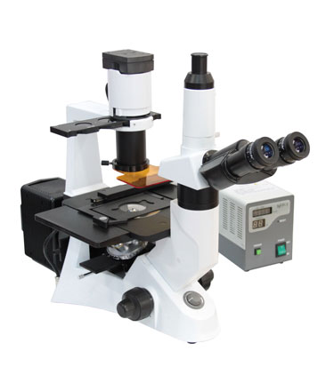 Used Inverted Fluorescence Microscope (Sold As is