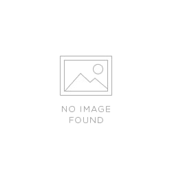 ONE NEW Fiberstore 1000BASE SFP 1310nm 20KM P/N: SFP1G-LX-31 Transceiver Module