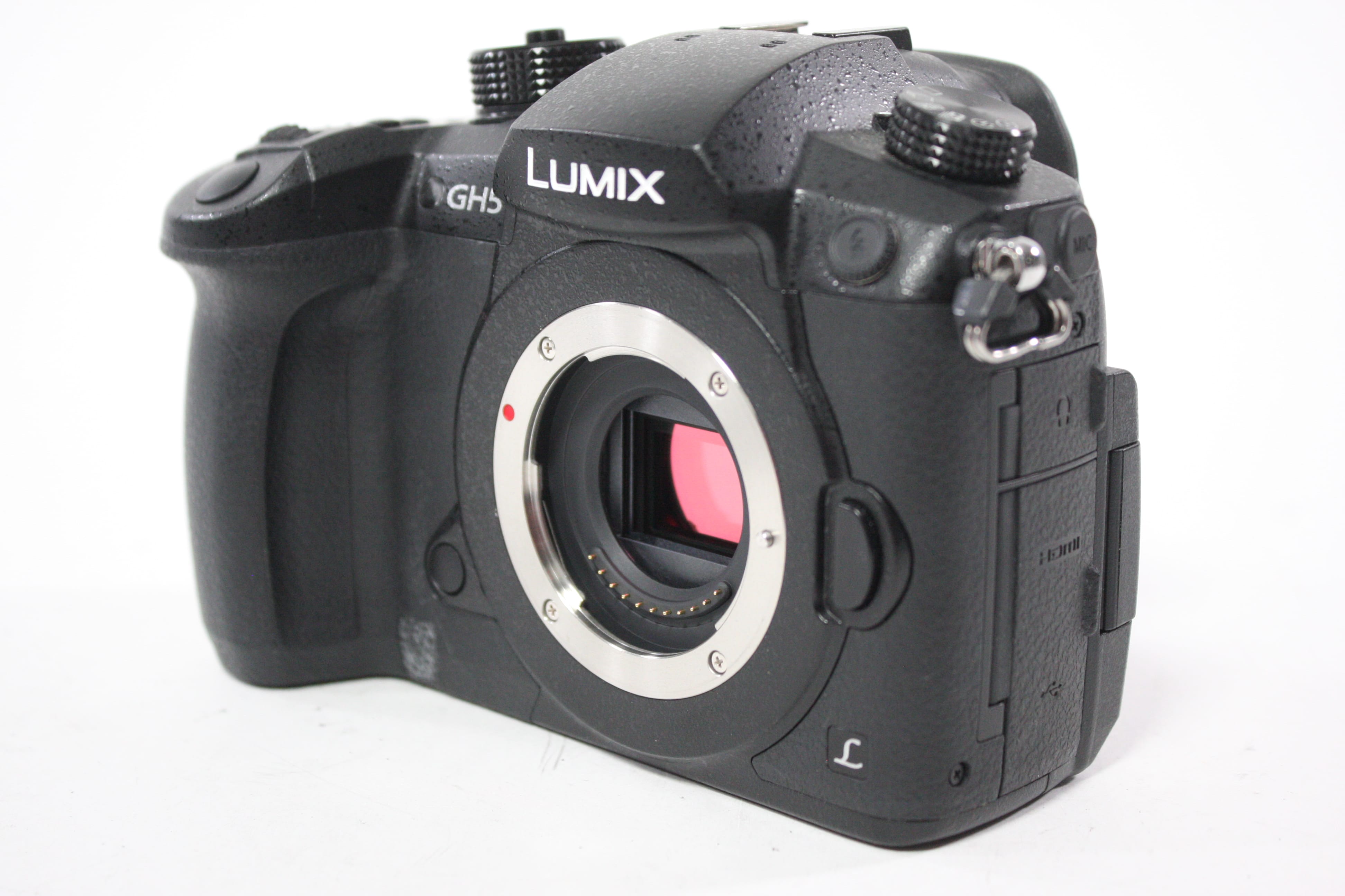 Panasonic Lumix GH5 Digital Mirrorless Camera Body with Shutter Count 9,100
