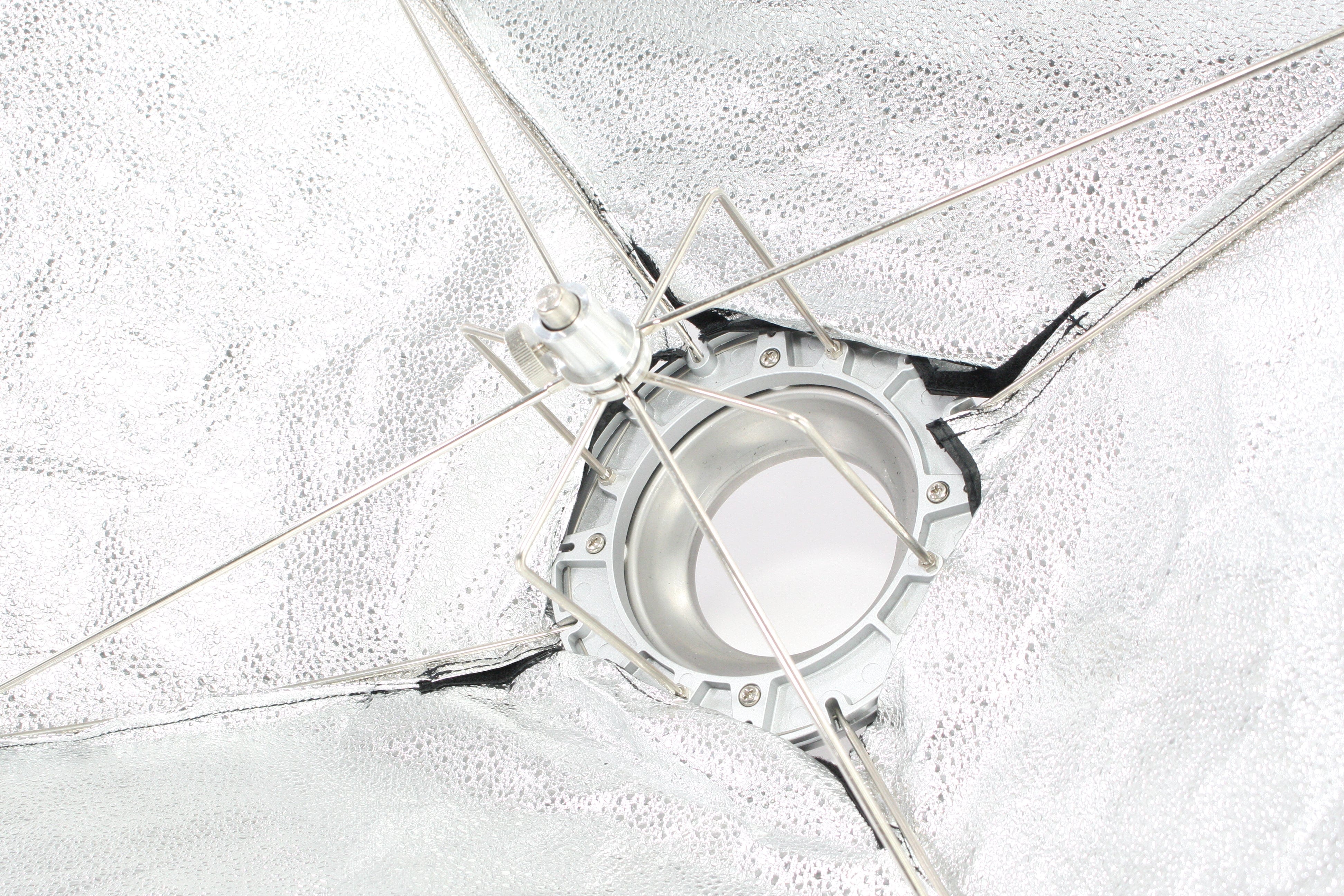 Paul C. Buff 32x40 Softbox with Defuser Panel and Speed Ring