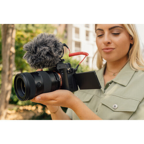 Tamron 17-50mm f/4 Di III VXD Lens (Sony E)