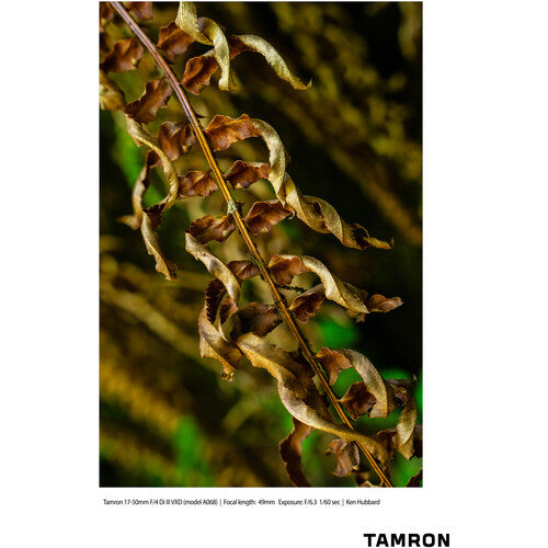 Tamron 17-50mm f/4 Di III VXD Lens (Sony E)