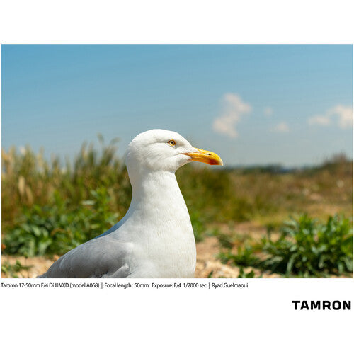Tamron 17-50mm f/4 Di III VXD Lens (Sony E)