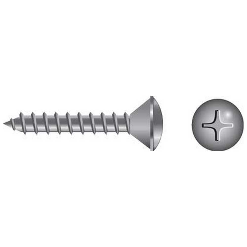 Seachoice MP0573SC 59593 Stainless Steel Phillips Machine Screw Oval Head