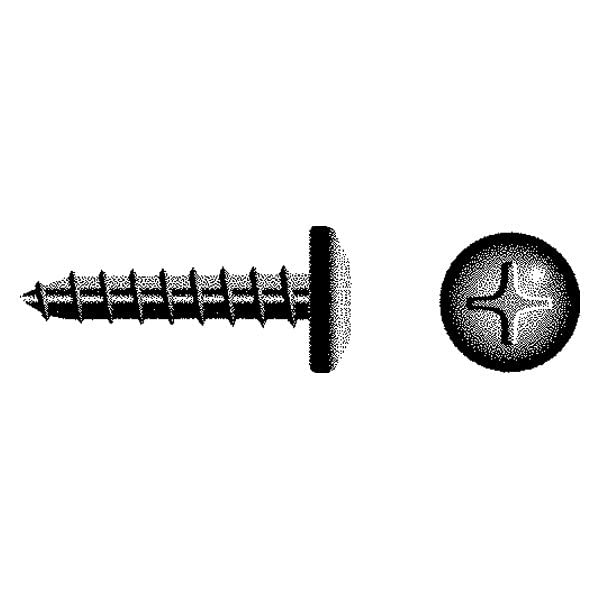 Seachoice BP0538SC 59969 Stainless Steel Phillips Tapping Screw Pan Head