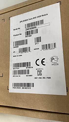 NVIDIA Tesla M40 24GB Module