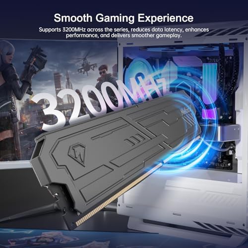Netac DDR4 DRAM 32GB Kit (2x16GB) 3200MHz XMP 2.0 Dual Channel RAM CL16 (PC4-25600) 1.35V 288-Pin Upgraded Aluminum Heat Sink Ideal for Gaming Computer Upgrade - Shadow III Series Black|B0G1MMT6FQ
