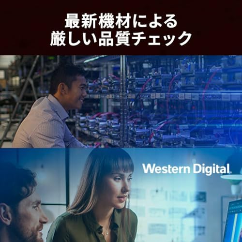 Western Digital WD Red Pro Internal Hard Drive 18 TB CMR 3.5 inch SATA 7200 RPM 512MB NAS WD181KFGX-AJP Eco Package|B0DRJPSPGW