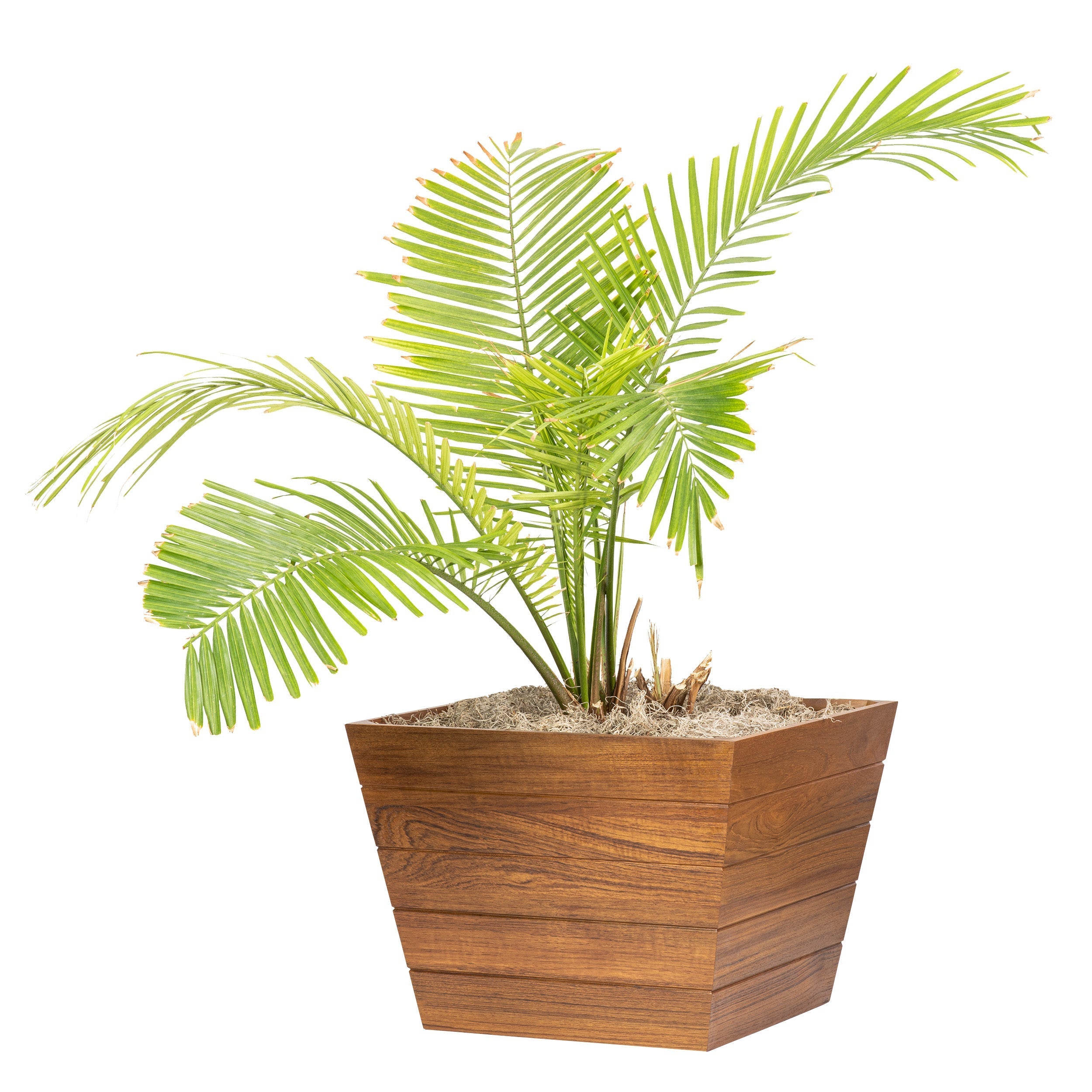 Whitecap 63109 Medium Planter Box