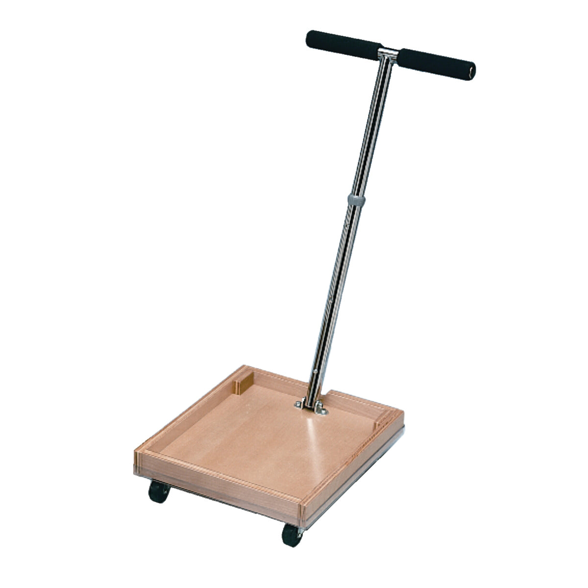 Work Hardening Mobile Weighted Cart w/ T-Handle