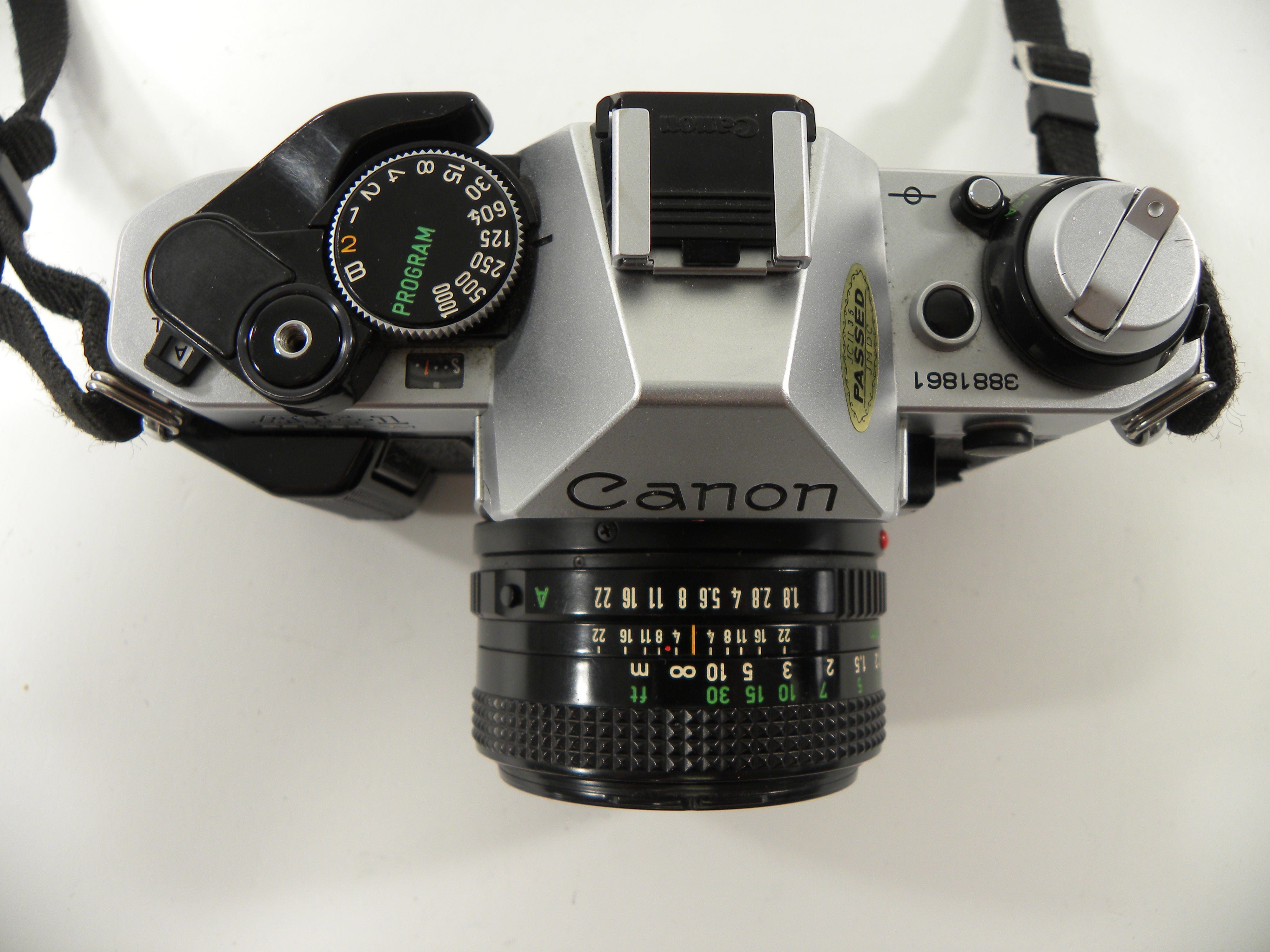 Canon AE-1 Program 35mm SLR Camera with a 50mm f/1.8 FD Lens