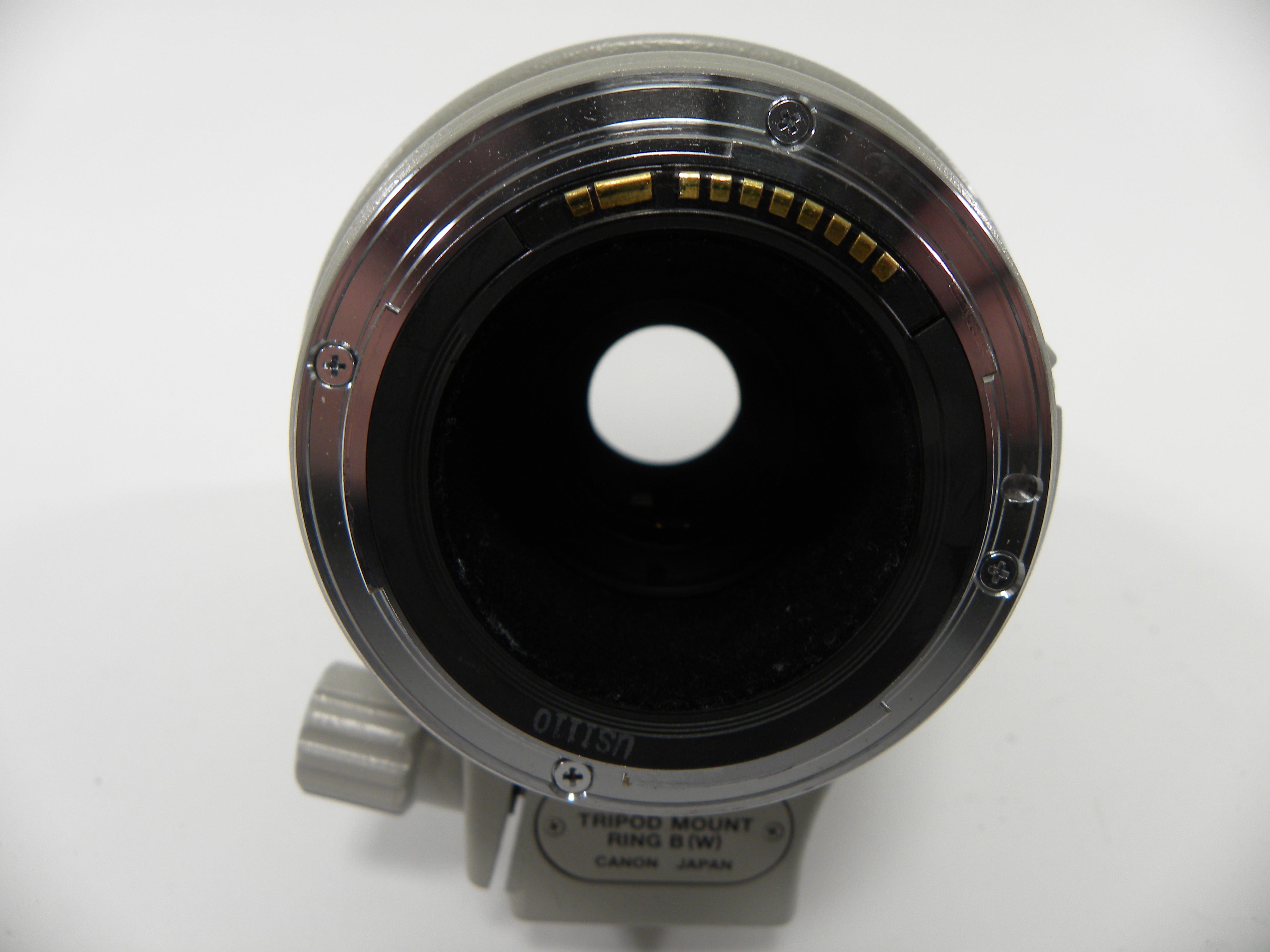 Canon EF Zoom 100-400mm f4.5-5.6 L IS USM