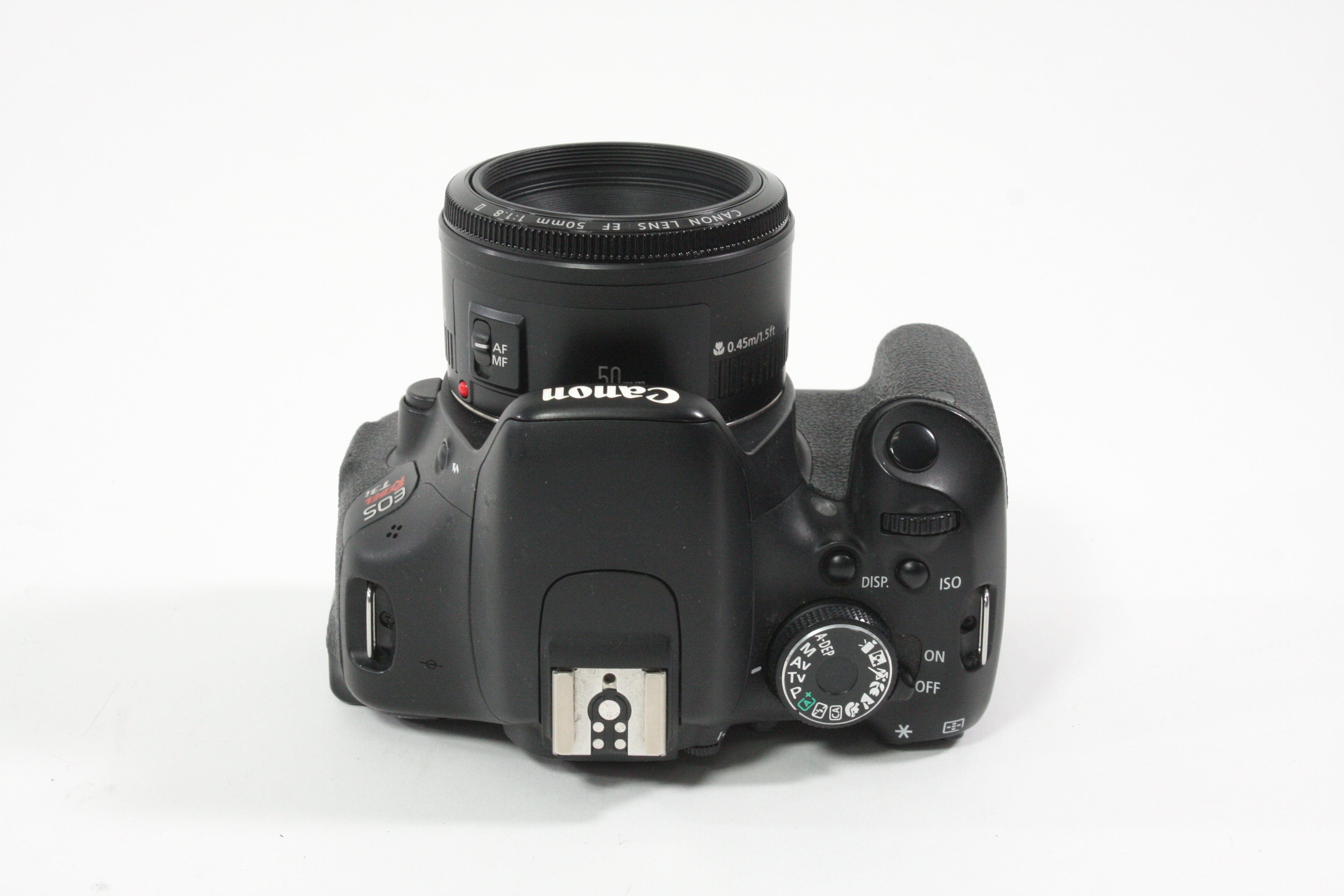Canon Rebel T3i w/50mm F1.8 II