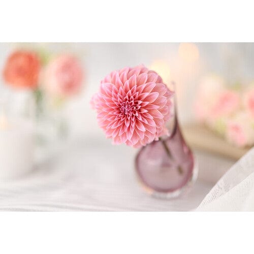 Canon RF 85mm f1.4L VCM Lens