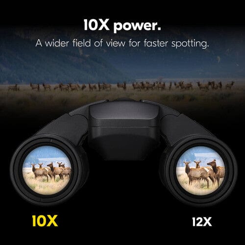 Nikon 10x25 S Stabilized Binoculars