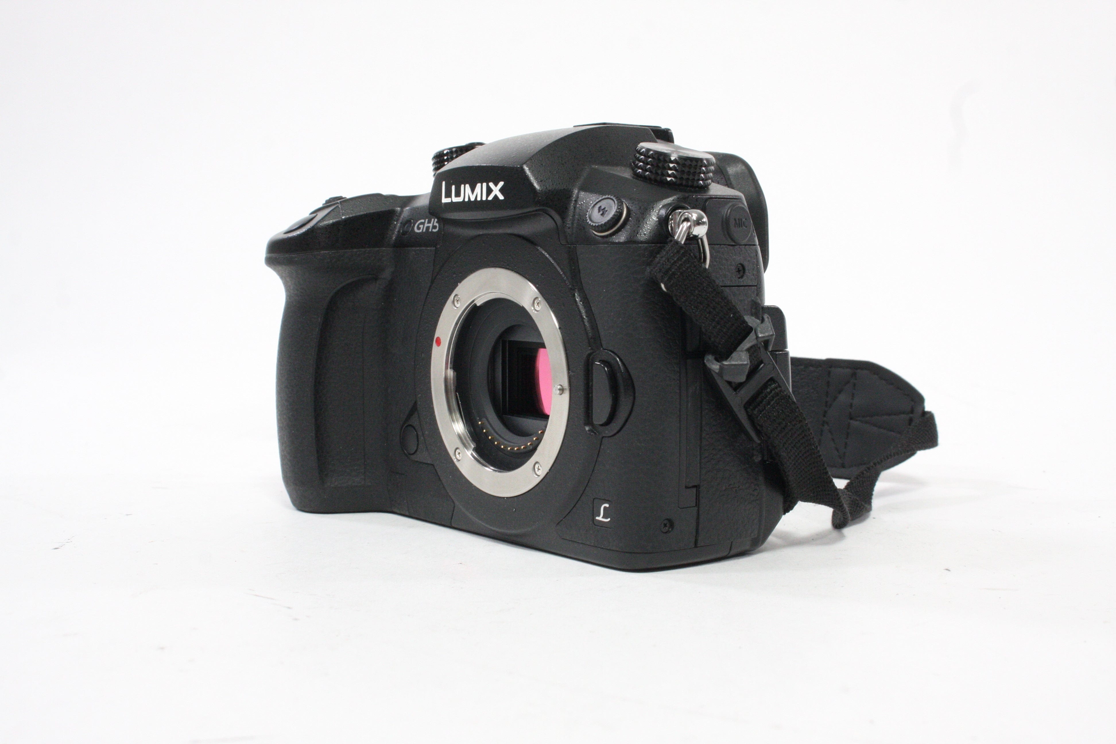Panasonic Lumix GH5 Mirrorless Digital Camera