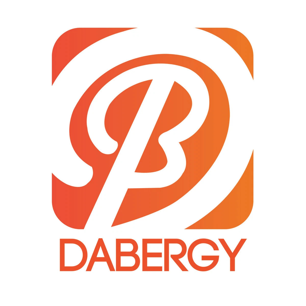 IBM DS4700 BATTERY BACKUP UNIT 41Y0679 13695-07 13695-06