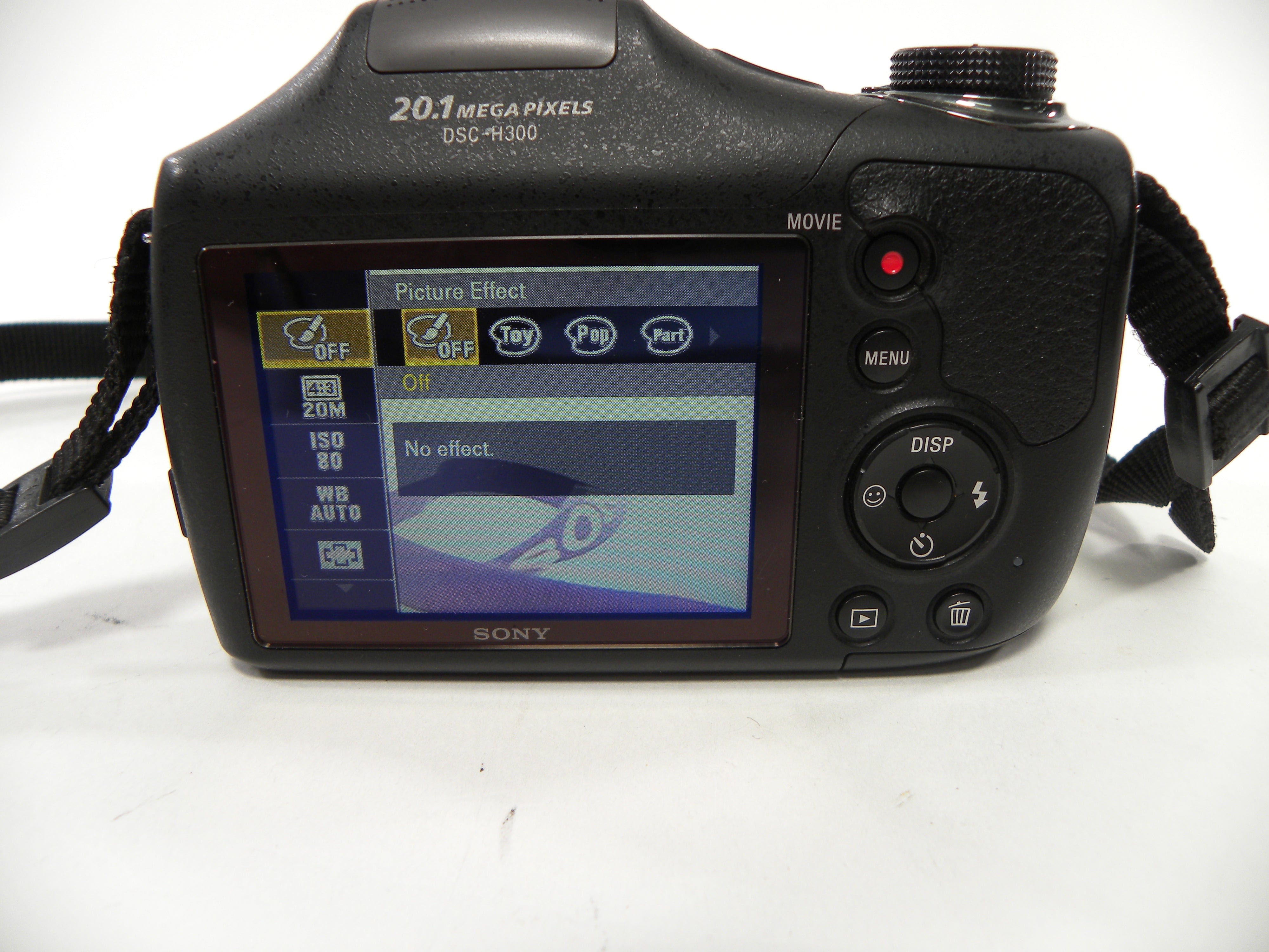 Sony DSC-H300 Cyber Shot 20.1mp Digital Camera